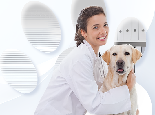 3377����Ȩ����������ƽ̨