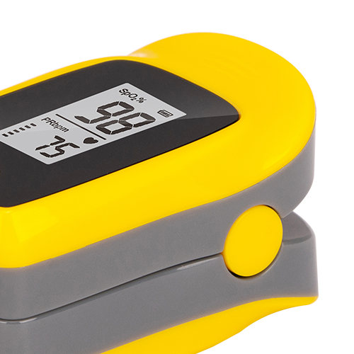 3377����Ȩ����������ƽ̨