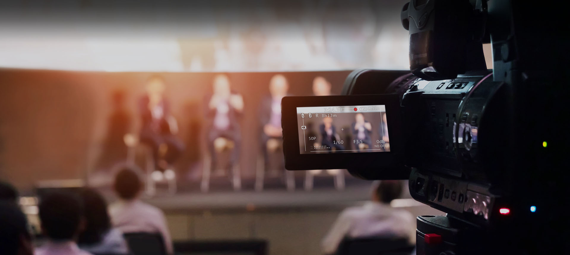 3377����Ȩ����������ƽ̨