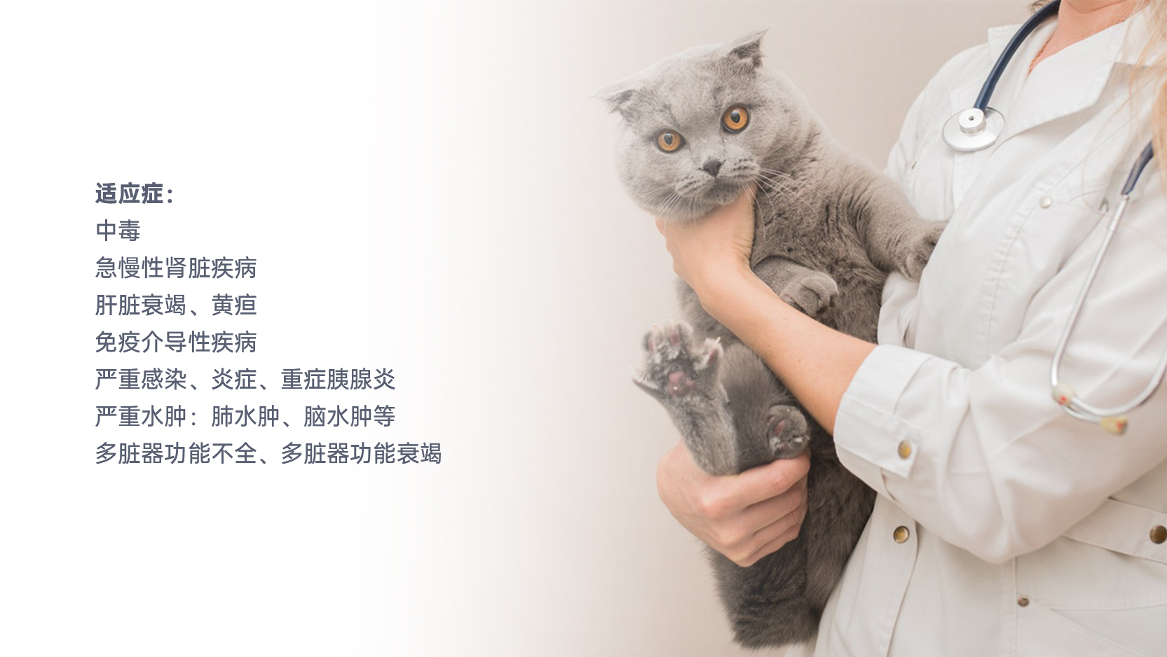 3377����Ȩ����������ƽ̨