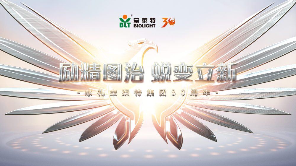 3377����Ȩ����������ƽ̨